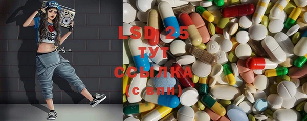 ПСИЛОЦИБИНОВЫЕ ГРИБЫ Баксан