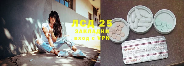 ПСИЛОЦИБИНОВЫЕ ГРИБЫ Баксан