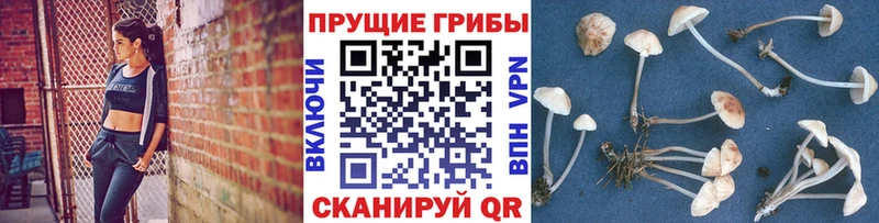 Галлюциногенные грибы мицелий  Ханты-Мансийск 
